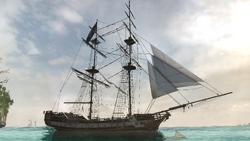 AC4 Experto Crede