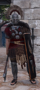 Roman brute