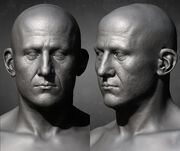 ACOD Thucydides head models