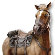 ACMir Al-Tali (The Follower)