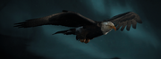 Bald eagle Animus mod for Sýnin