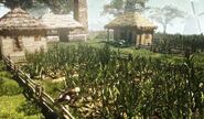 ACIV plantation.jpg (76 kio) Le pirate Edward Kenway infiltrant une plantation