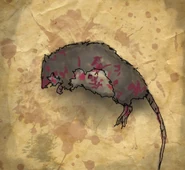 Un ratto morto infilzato più volte con un amo, trovato sotto il letto.