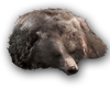 ACOD Bear Fur.png