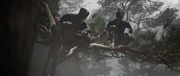 取出烟幕炸弹预备伏击的忍者们