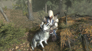 Connor killing a wolf