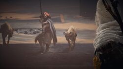 卡丽塞特与巴耶克对峙