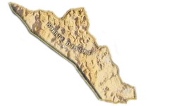 ACO-desert-blanc