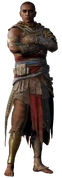 Bayek (narok)