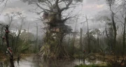 A bayou residence