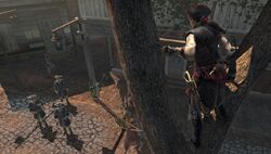Assassin S Creed Iii Liberation Assassin S Creed Wiki Fandom Assassin S Creed Iii Liberation Assassin S Creed Wiki Fandom