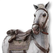 ACMir Al-Sabiq (The Winner)