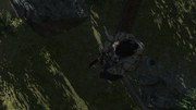 Connor hanging a poacher