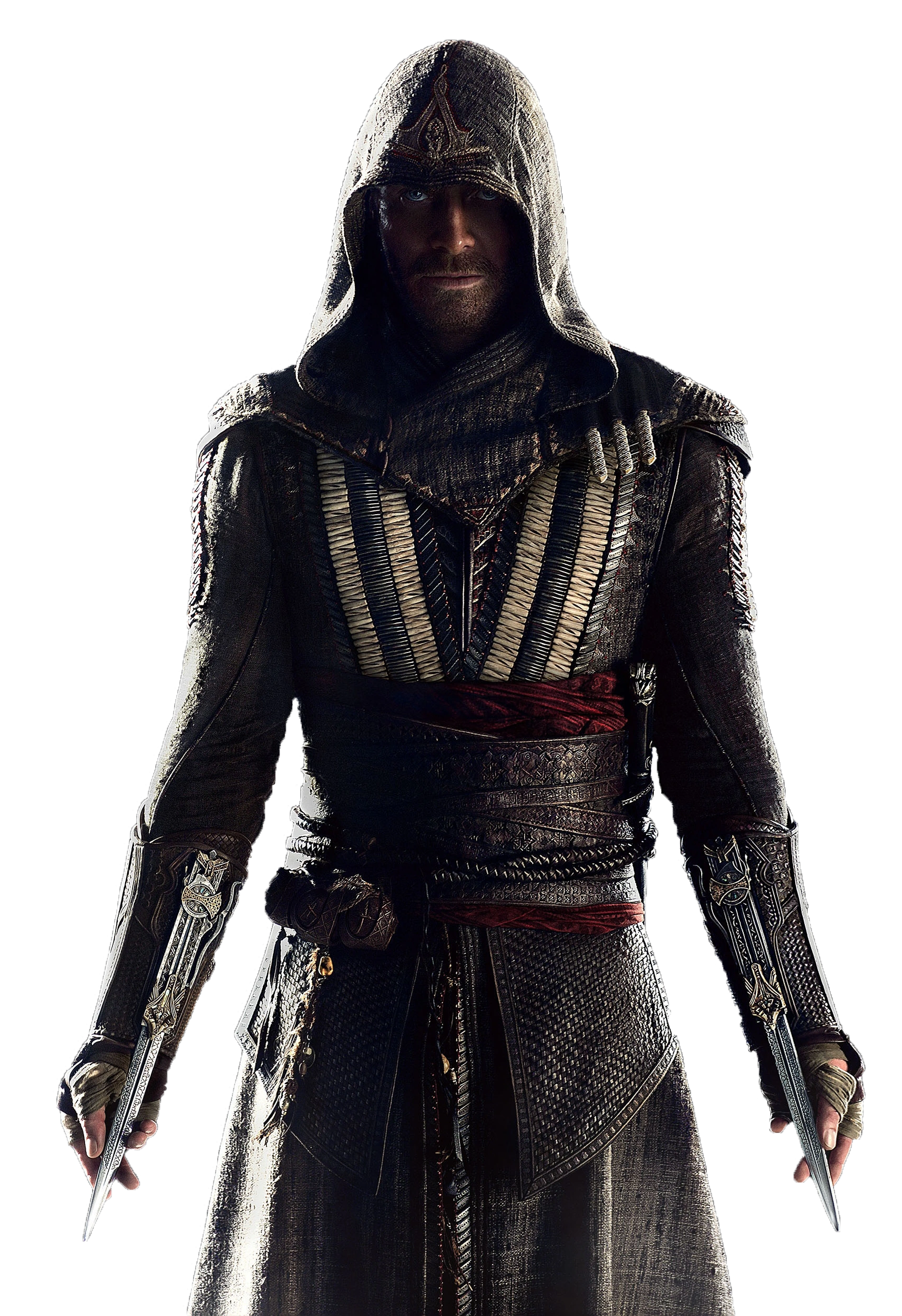 アギラール・デ・ネルハ | ASSASSIN'S CREED Wiki | Fandom
