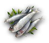 ACOD Fresh Fish.png