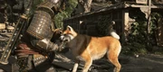 Yasuke petting an Akita Inu