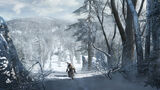 Assassin's creed 3 snow