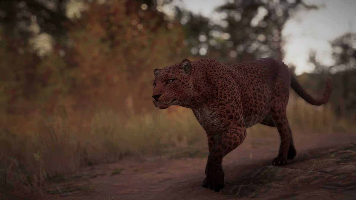 Leopard | Assassin's Creed Wiki | Fandom