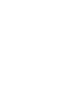 Assassin's Creed Wiki