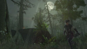 Aveline im Bayou