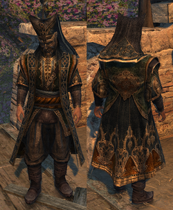 Assassin's Creed: Revelations outfits, Assassin's Creed Wiki