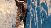 Connor scaling the frozen waterfall