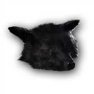 吕卡翁狼的头颅