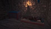 Kallias sleeping at the fort