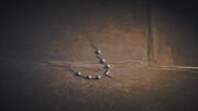 The broken necklace lying on the ground