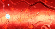 Neurotransmitters AC2