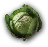 ACOD Fresh Cabbage.png