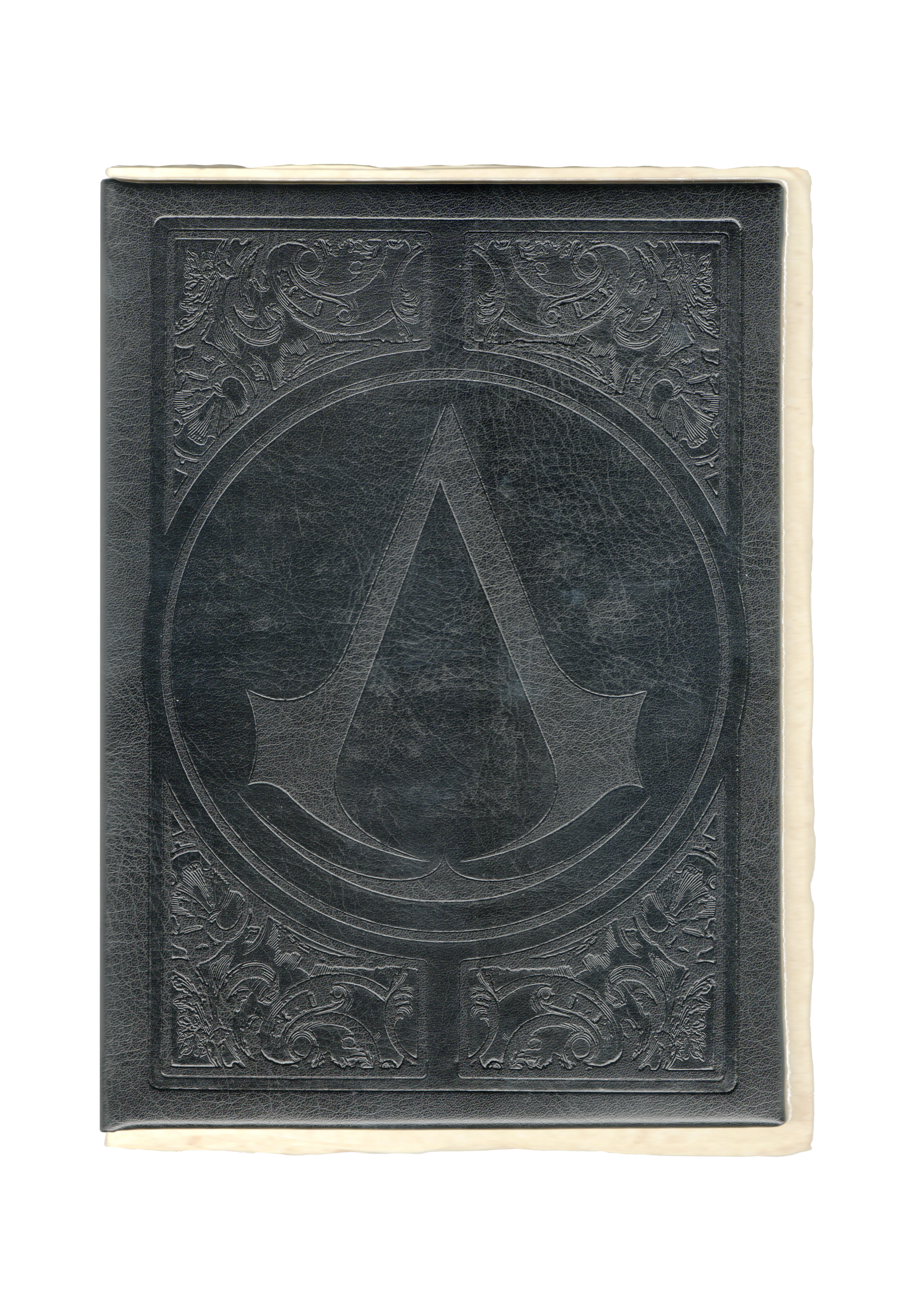 Assassin's Creed the Renaissance Codex Book 1