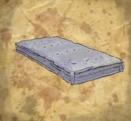 Il materasso del manicomio trovato pieno di fori minuscoli.