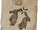 Contracts (Mirage)