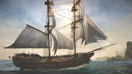 ACIV Jackdaw Profil