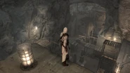 Altaïr osserva dall'alto l'intera stanza.