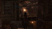 Aveline moving through the Fort's basement