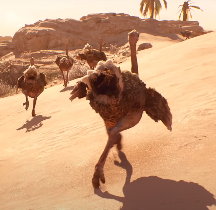 Ostrich | Assassin's Creed Wiki | Fandom