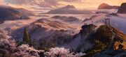 樱花盛开的山野