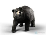 A render of a bear