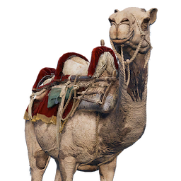 Camel Assassin S Creed Wiki Fandom