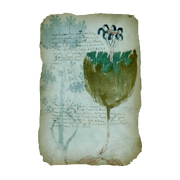 AC4BF Voynich Manuscript - Folio 35r