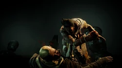 巴耶克用钝器将梅杜阿蒙殴打致死