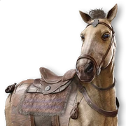 ACMir Al-Qamar (Moon)