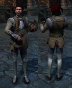 Minstrel outfit