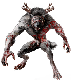 ACV Werewolf