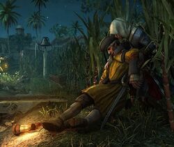 AC4 Edward Kenway hiding in plantation