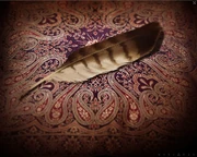 ACISaracenSiege.png (1,55 MB) Una pluma dejada en la tienda de Salah Al'din.