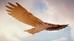 Senu