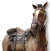 ACMir Al-Mu'ammil (The Hopeful)